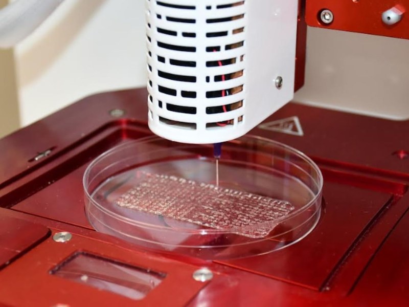 Parche bioimpreso en 3D para heridas crónicas